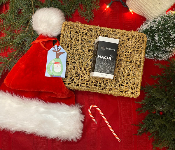 Beginner Matcha Kit with Hachi Matcha Platinum