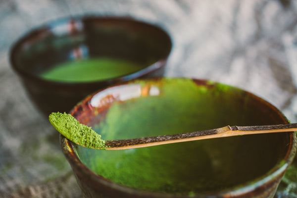 Hachi Matcha - Shincha 2025 Limited Edition